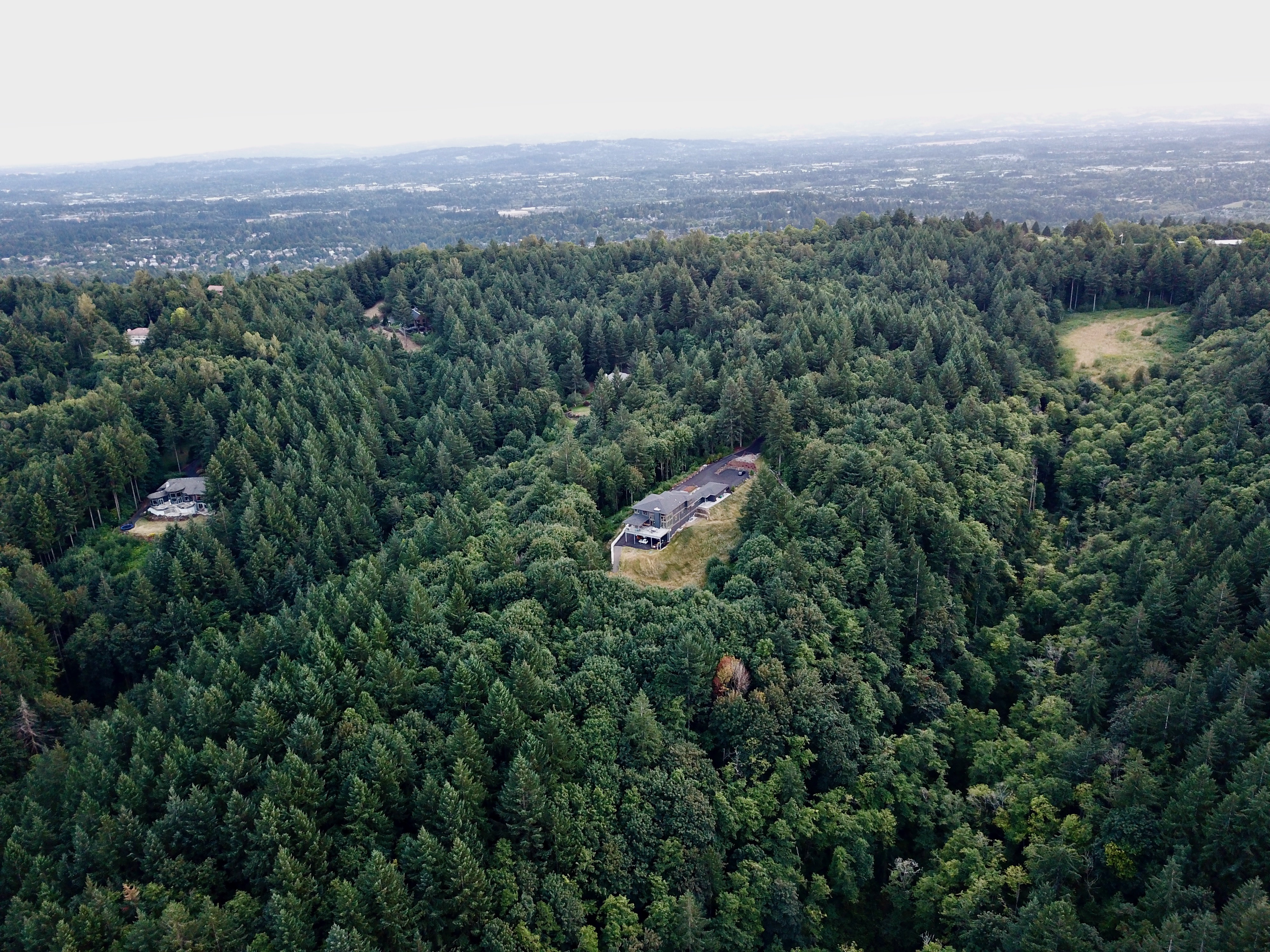 DJI_0005s6.jpeg