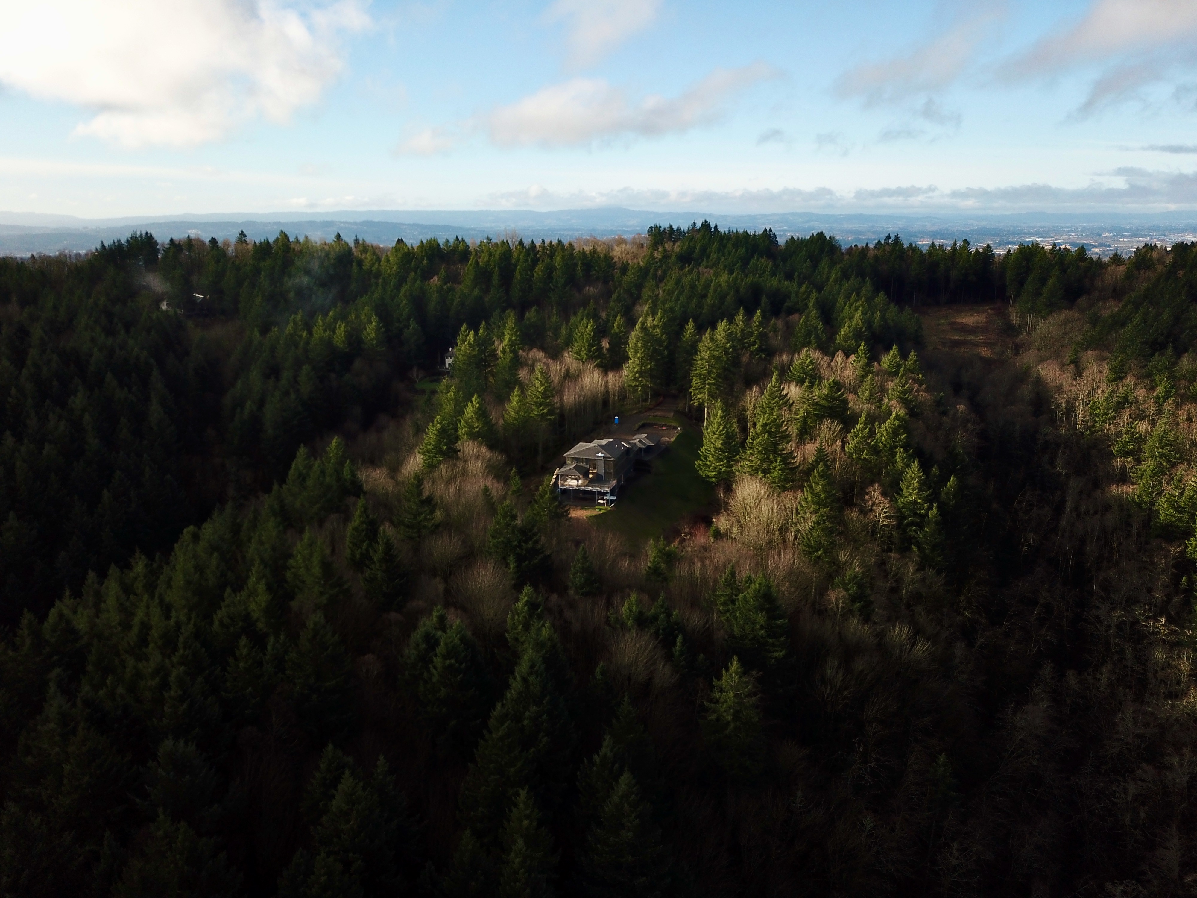 DJI_0728d.jpeg