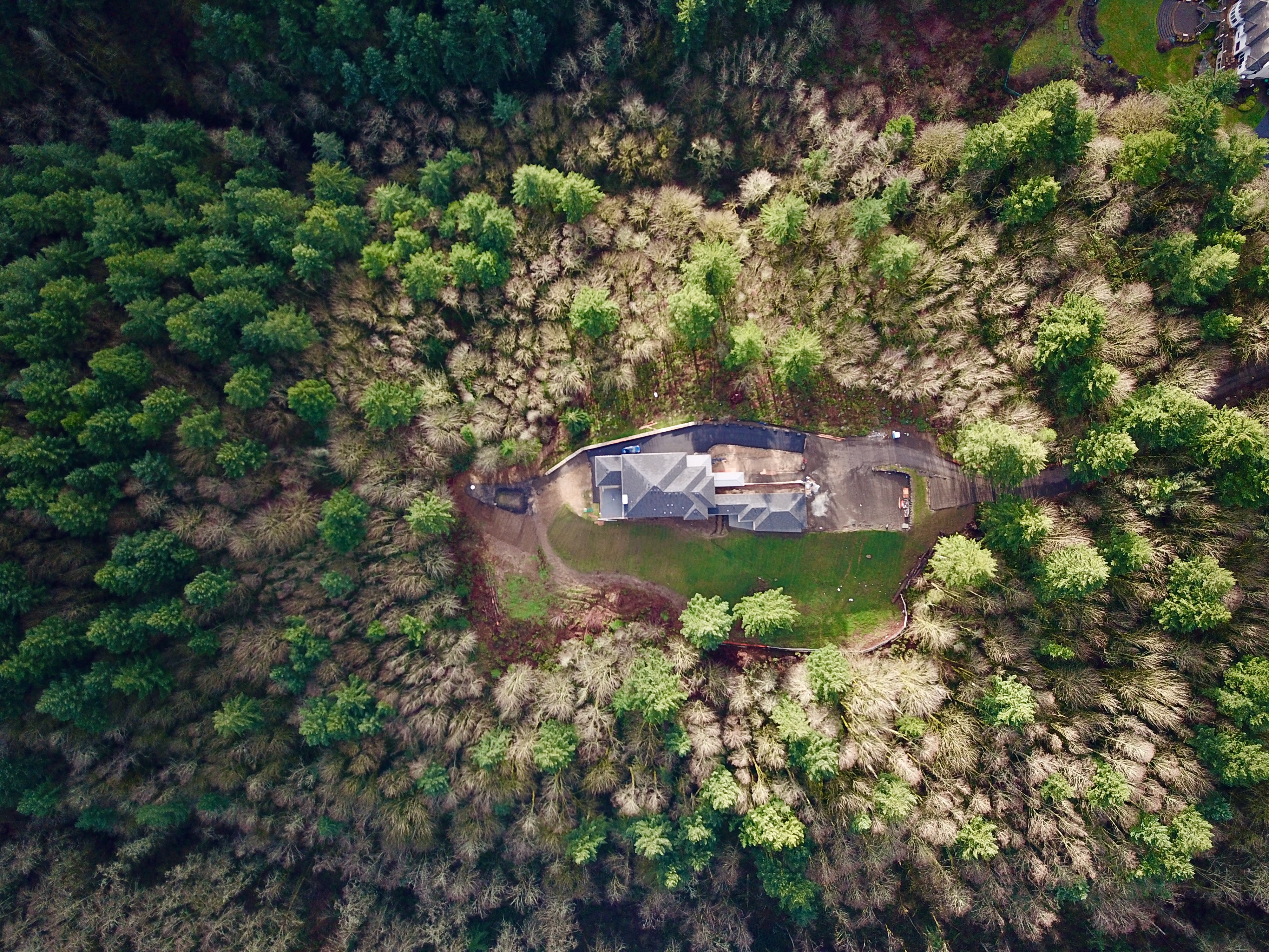DJI_0755d.jpeg